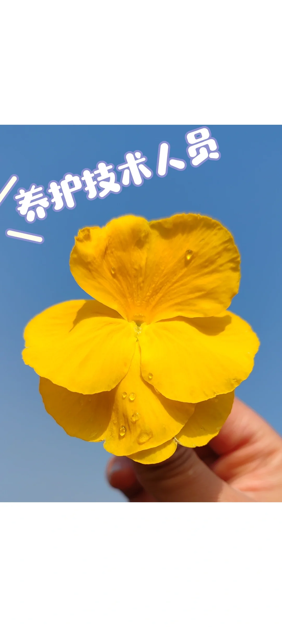 宜昌花园里农业招聘啦???