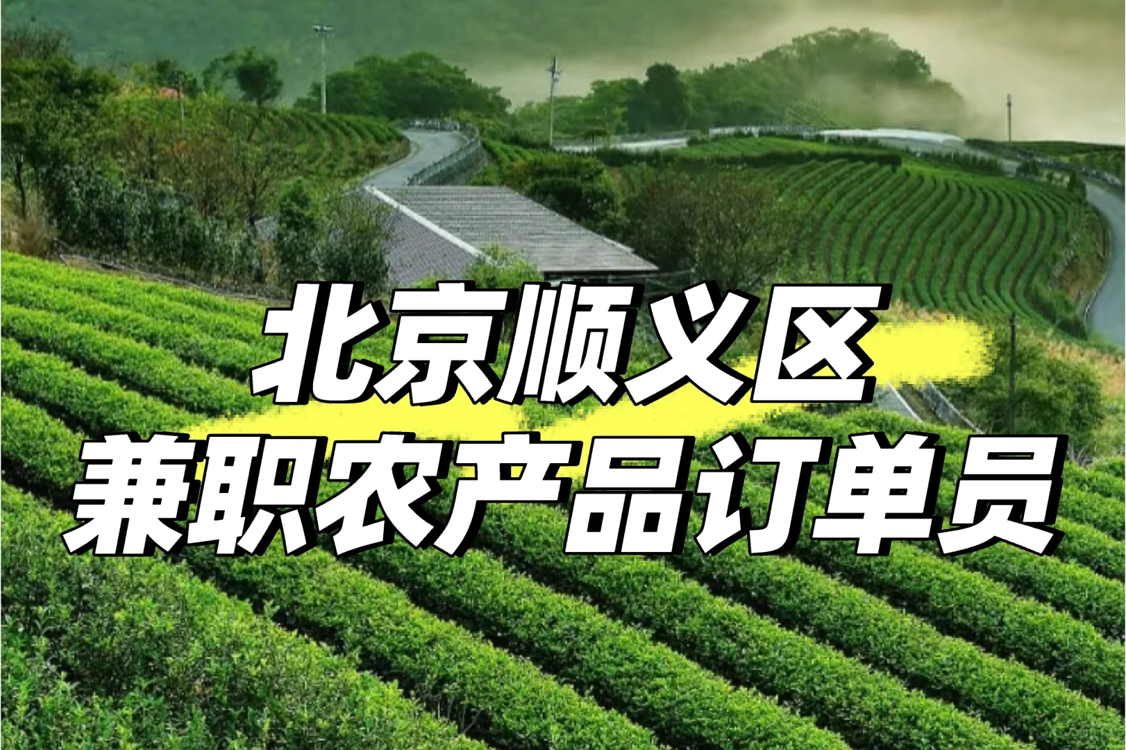 北京顺义区
