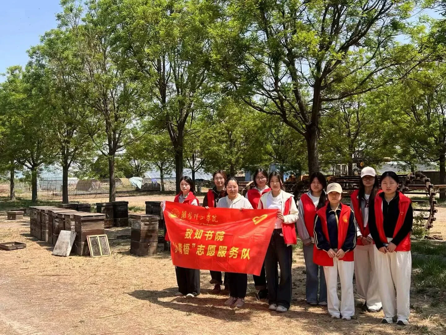 ?当猕猴桃遇上蜜蜂｜我们在果园里挖“农业文