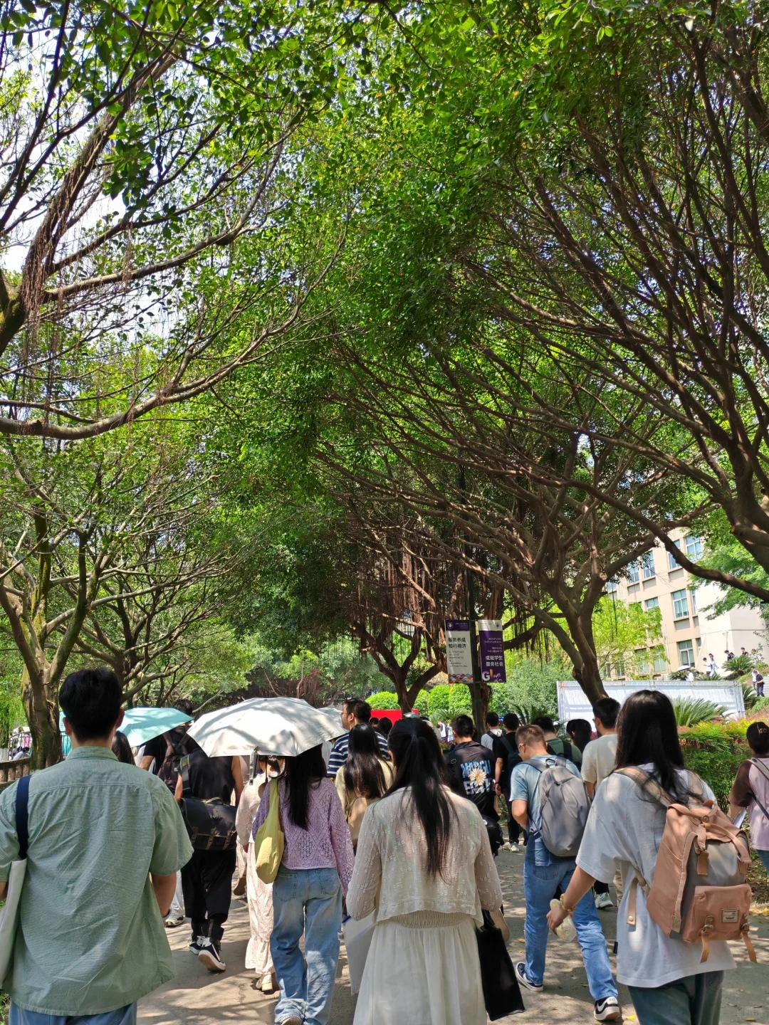 我家自我起 三代禁读农学