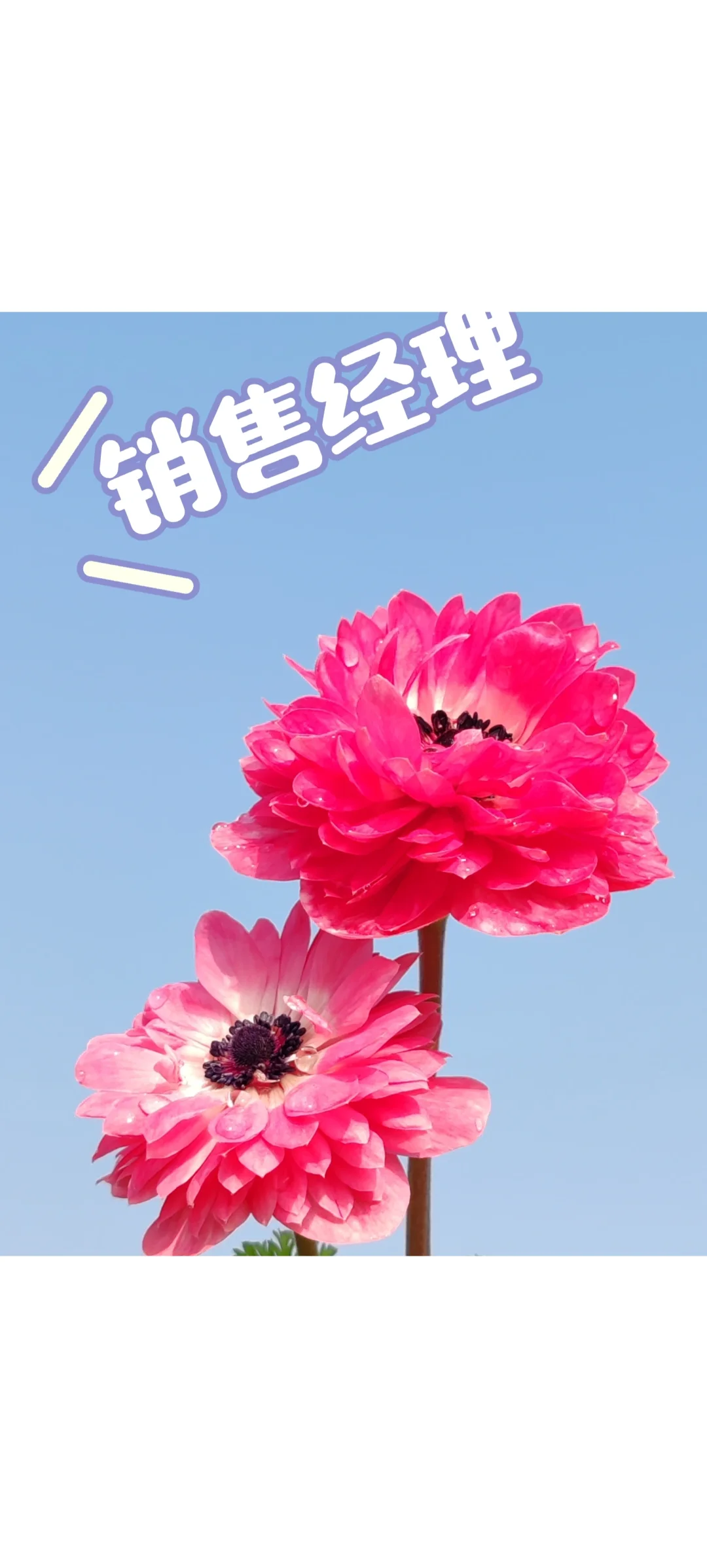 宜昌花园里农业招聘啦???