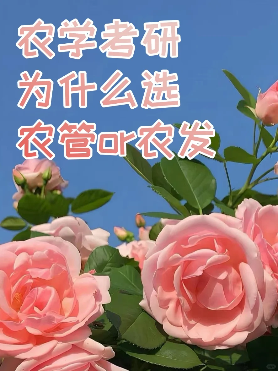 【考研】农管农发就业情况如何?