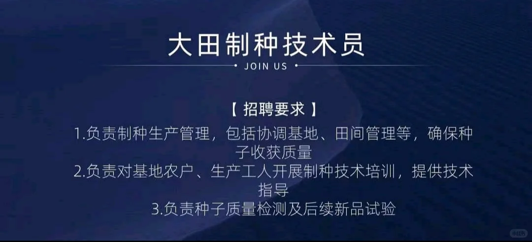 招人招人,有人找没?