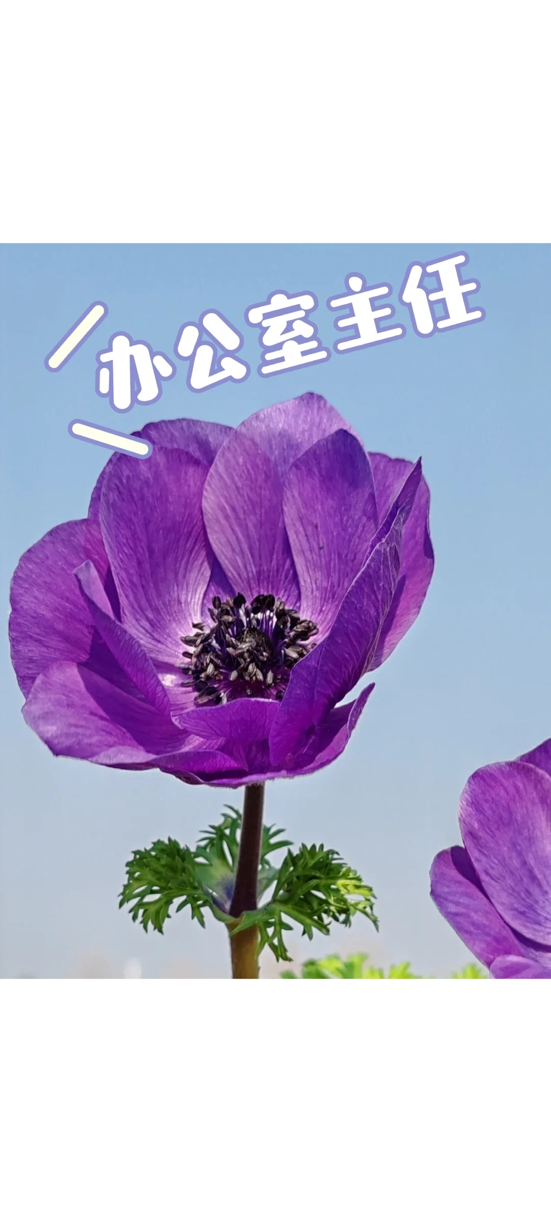 宜昌花园里农业招聘啦???