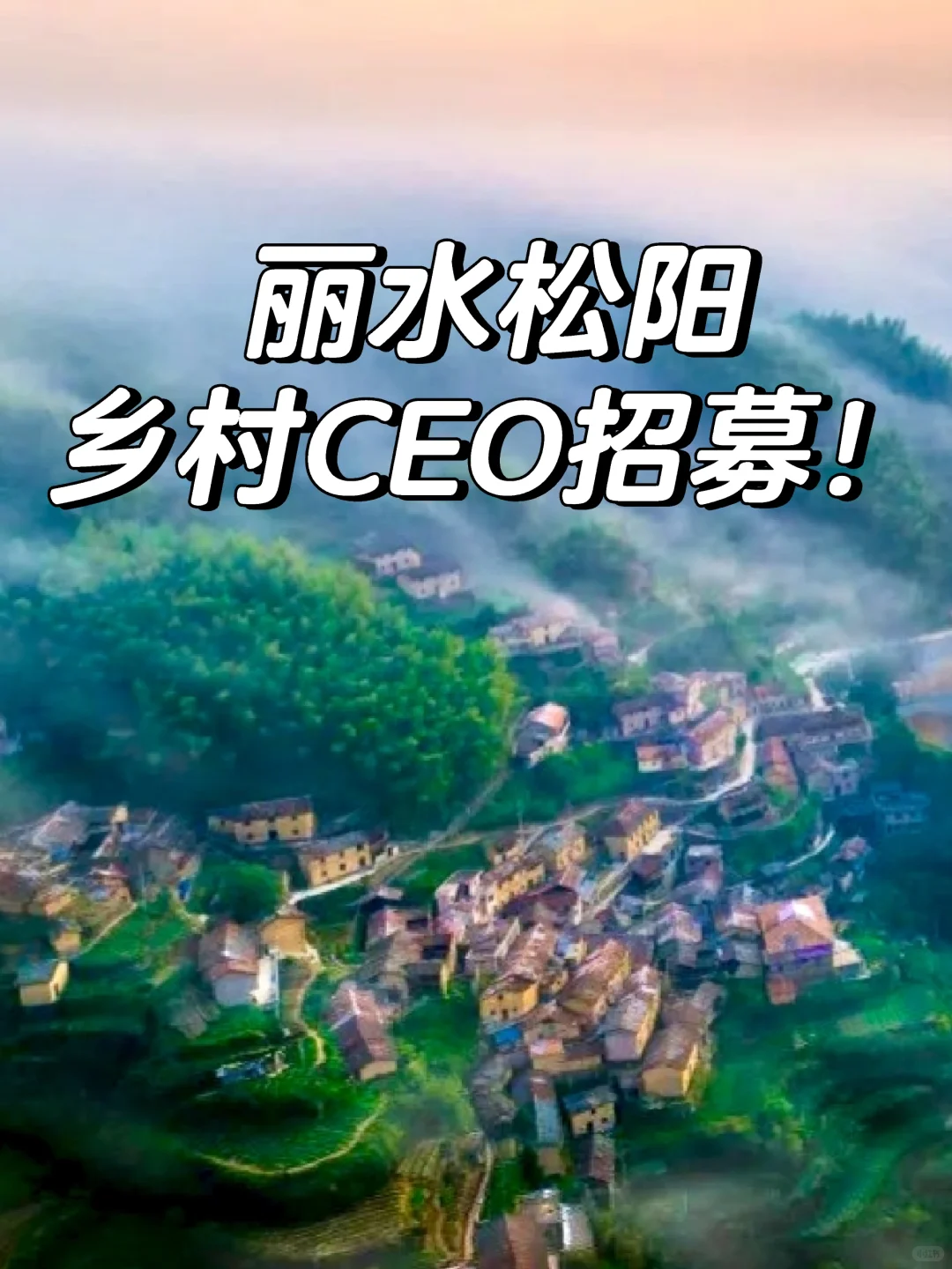 事业编，乡村CEO招募！