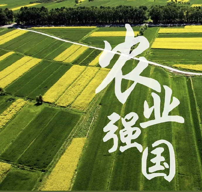 农业管理、农村发展考点分享：农业强国