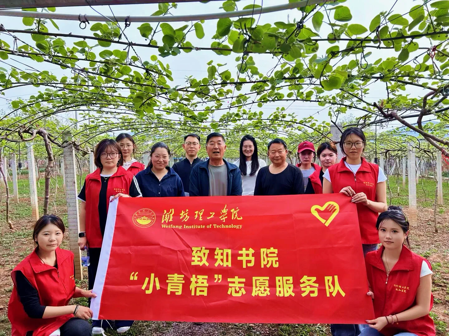 ?当猕猴桃遇上蜜蜂｜我们在果园里挖“农业文