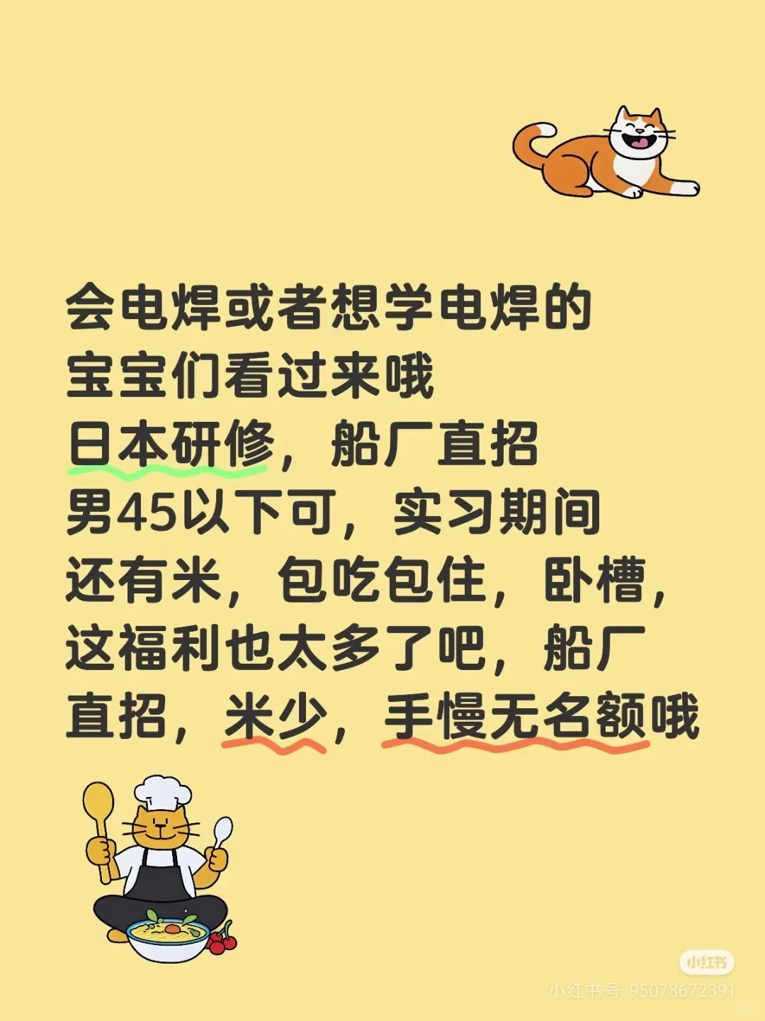 日本研修,船厂直招,男45岁以下!