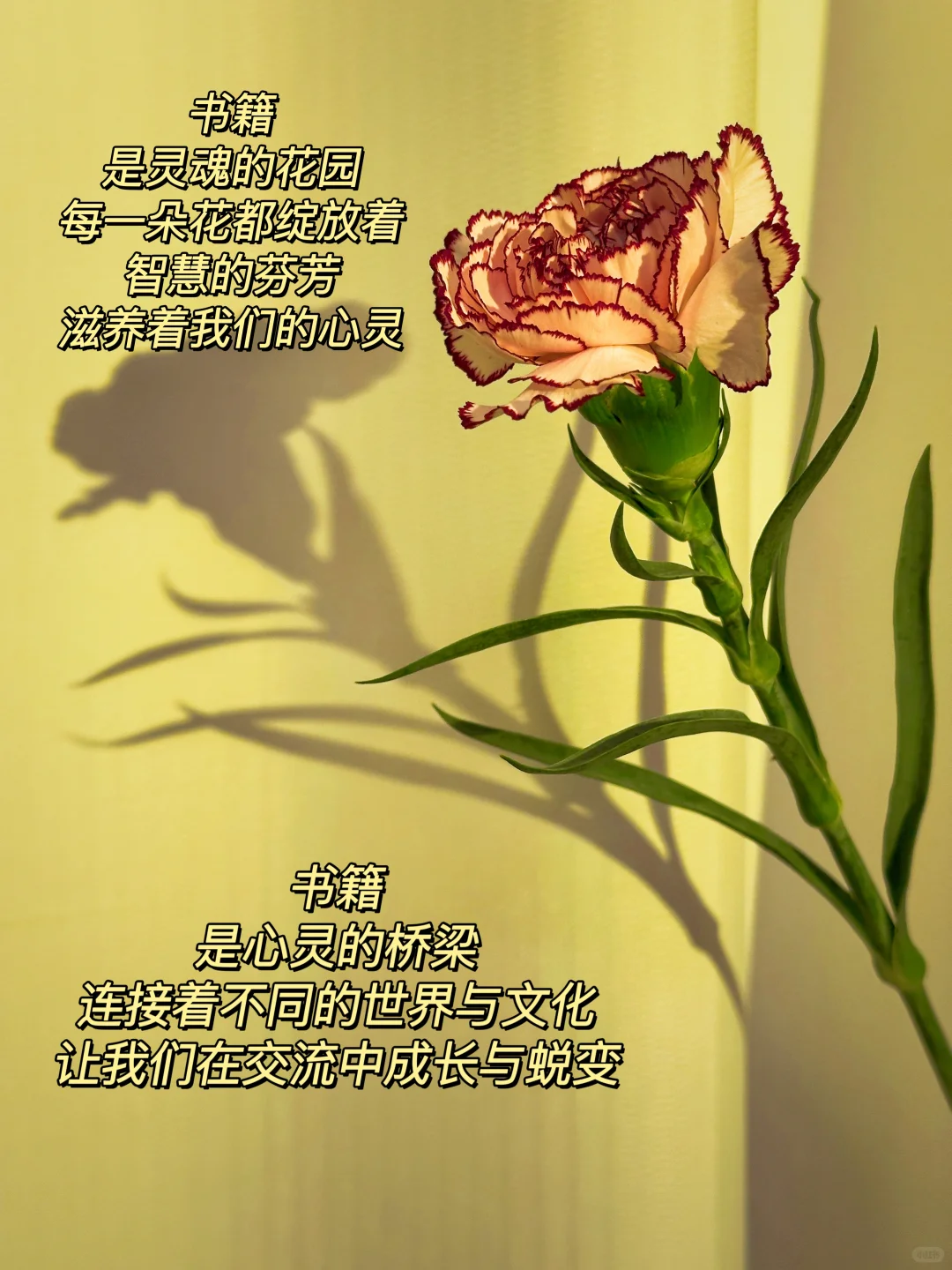 46岁失业 ,读书博主第.1.天,请多关照