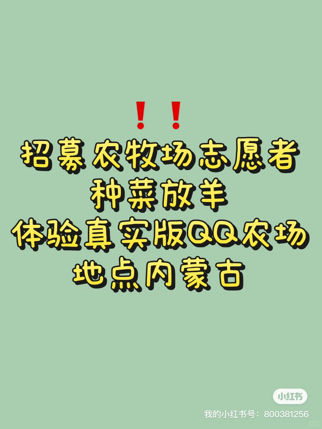 招募农场义工！种菜放羊