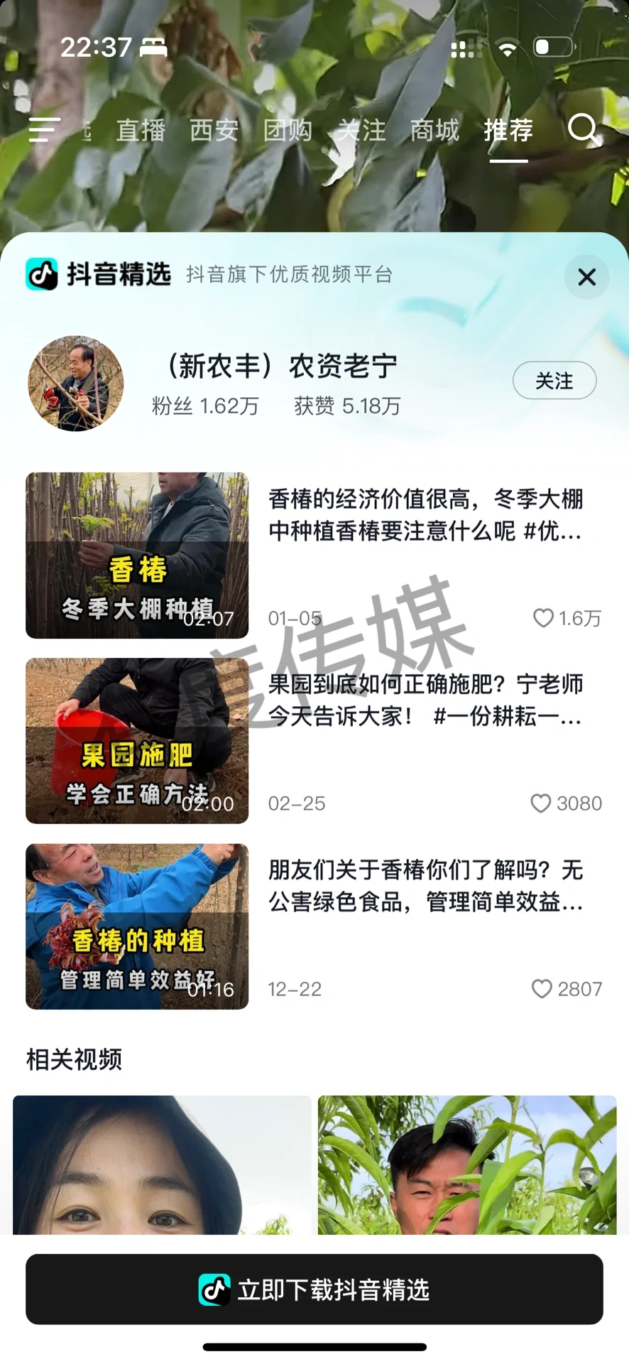 农业赛道如何打造个人IP