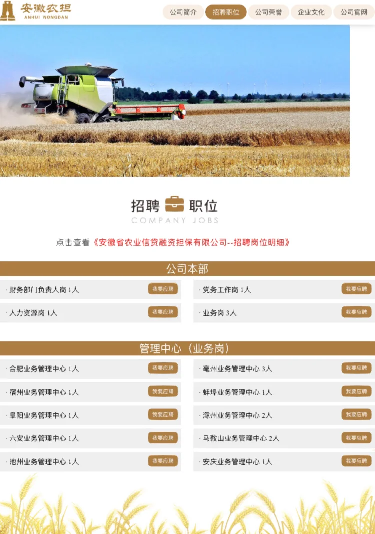 安徽农担（省属国企）社会招聘20人，合肥有岗