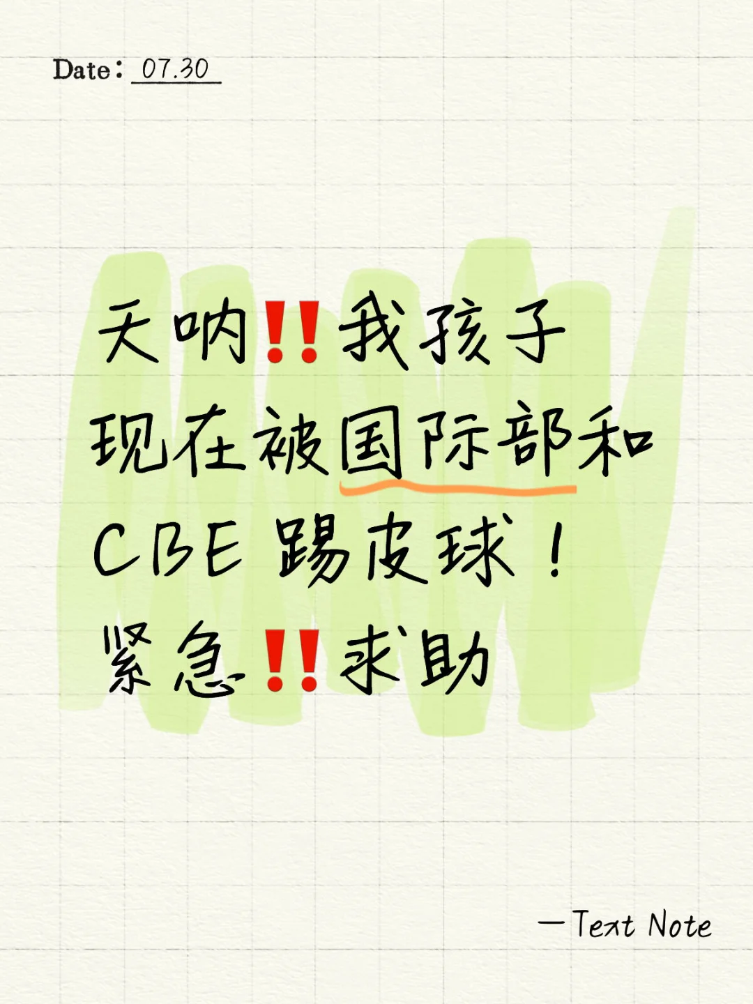 国际生本地化 求助