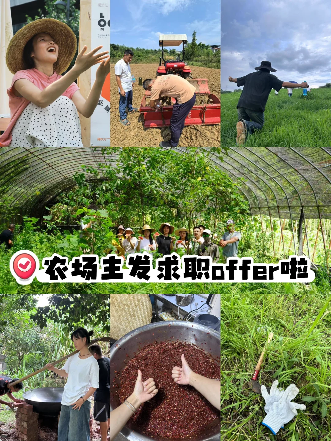 ?叮!你的田野offer已送达