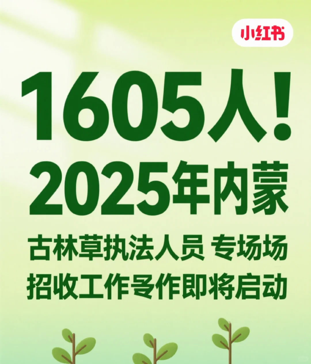 又一波新的招录即将开始