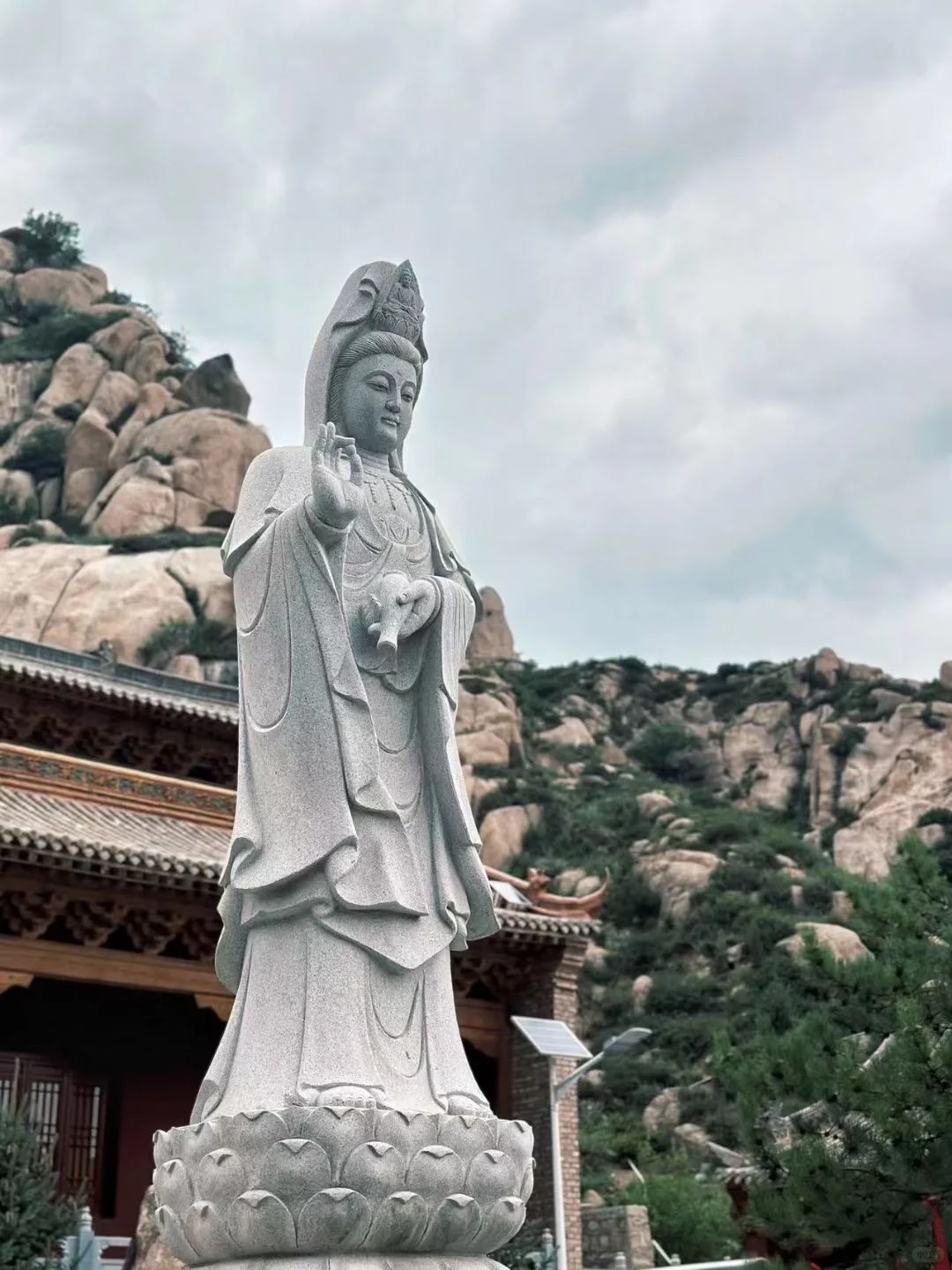 2025年寺庙义工招募，快来邂逅佛系！