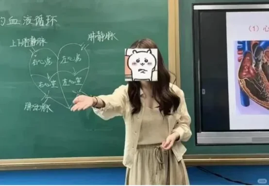 去年生物试讲第一,我的诗歌导入是Top1