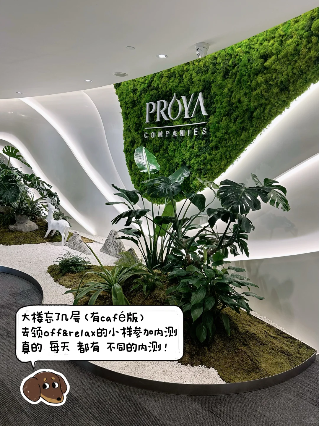 浙大大二｜谁在说实习啥都学不到?