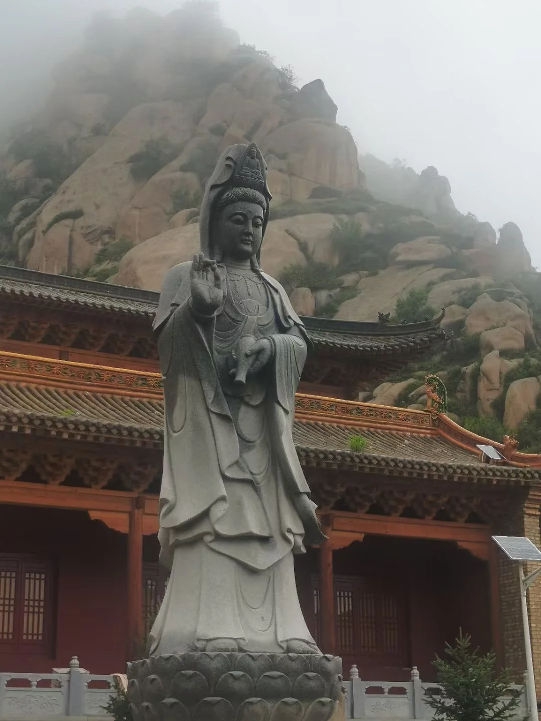 2025年寺庙义工招募，快来邂逅佛系！