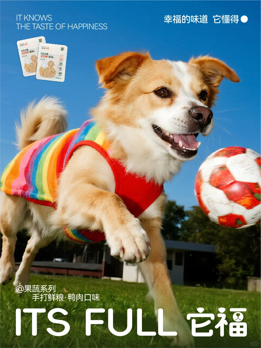 急招掌勺炫鸭官！汪！?
