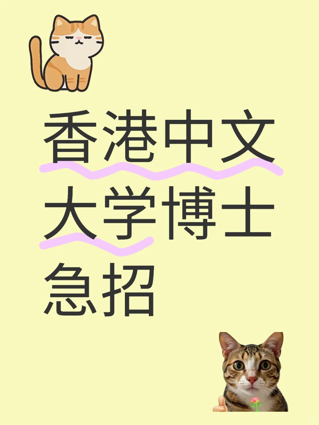 香港中文大学博士急招可内推目前要求不高!