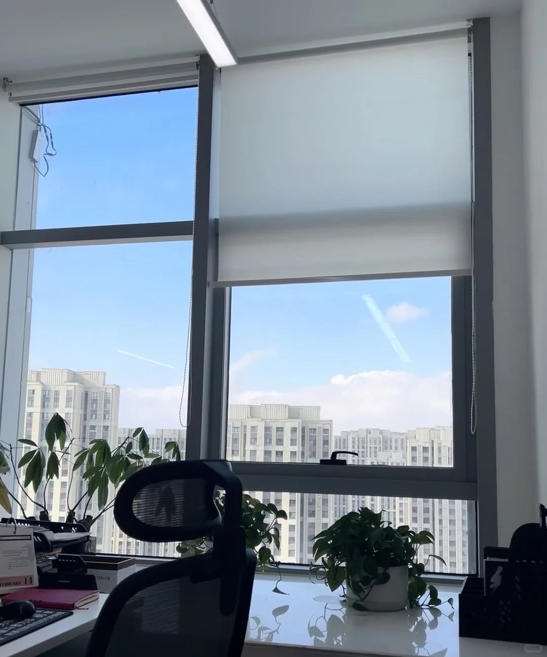 ??想知道你们双休一般在家做些什么
