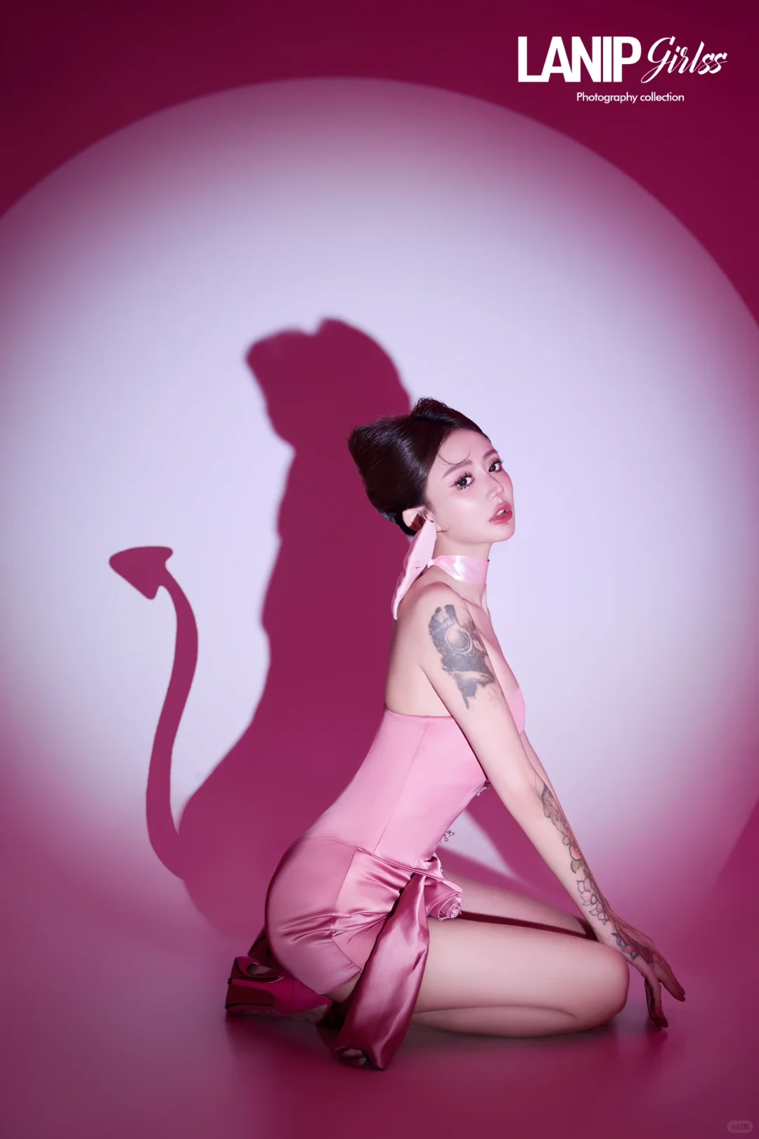 小野猫