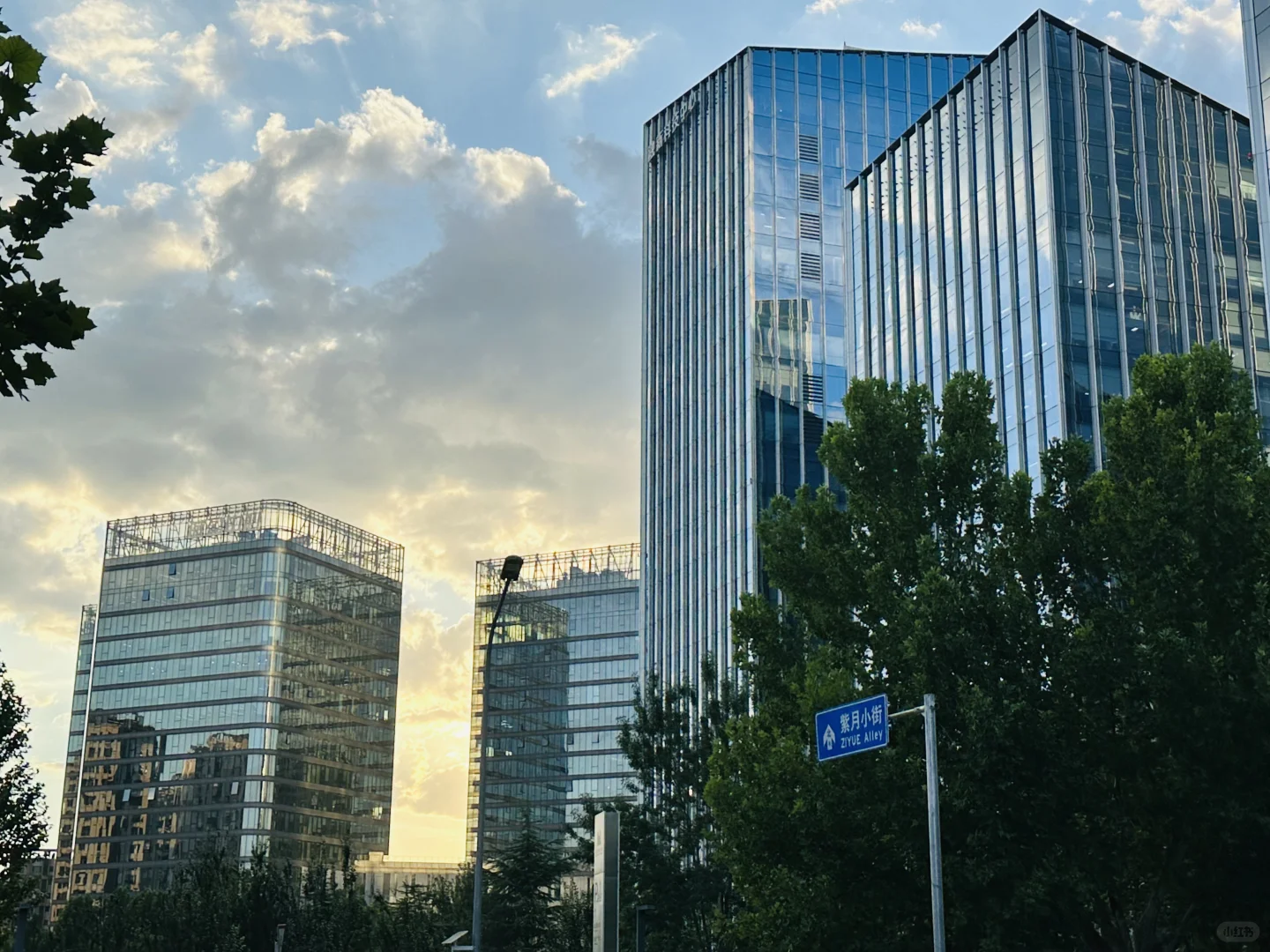 跳槽真相:谁痛苦谁改变