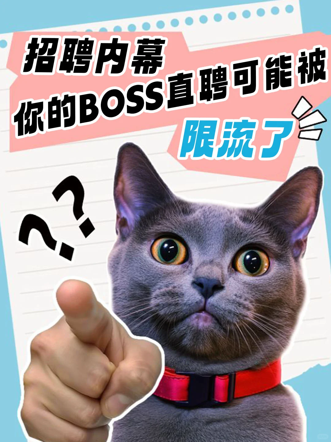 BOSS直聘防限流终极攻略❕HR必存