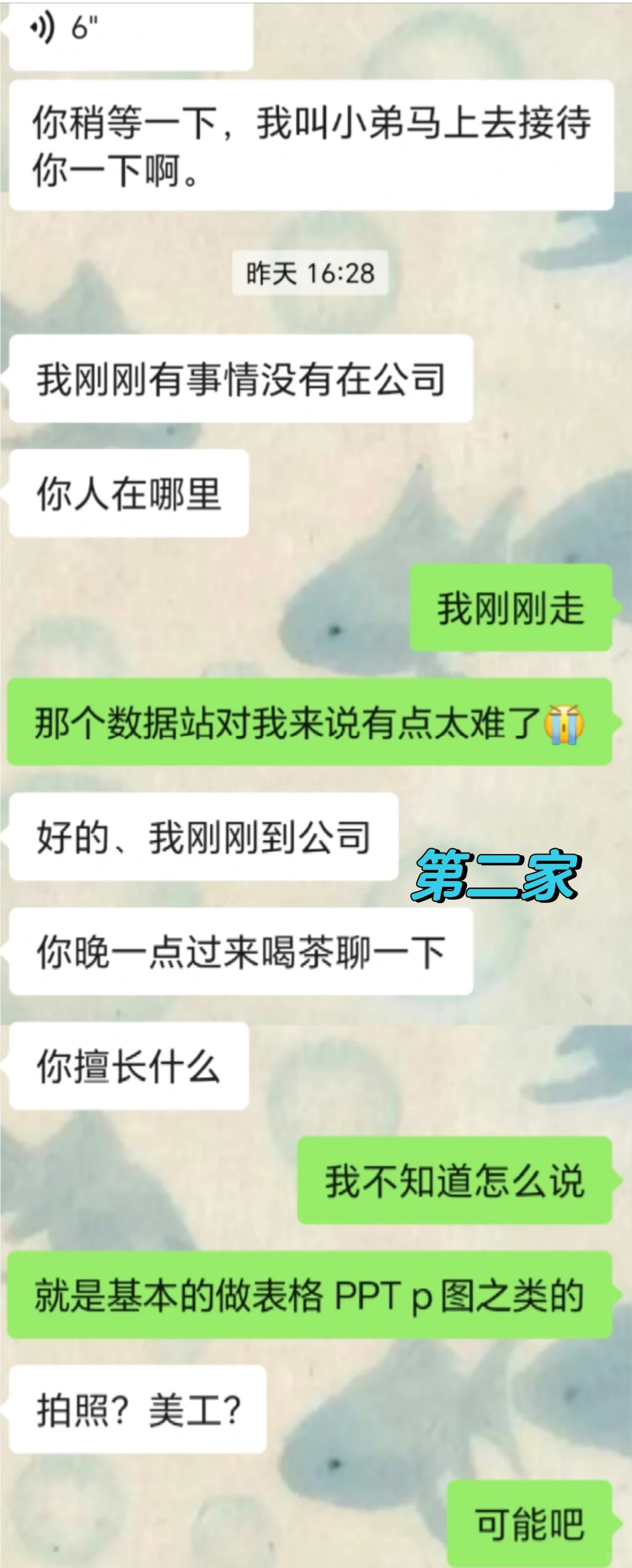 避雷莆田公司