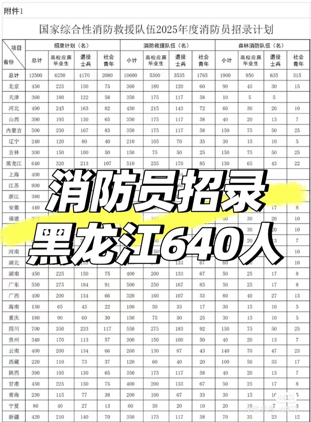 2025年面向社会招录消防员公告