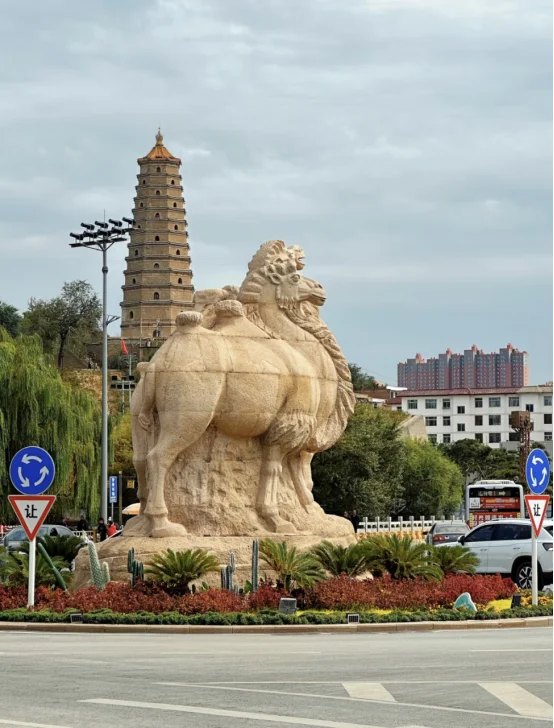 普本,上岸陕西事业编管理岗(仅限榆林)