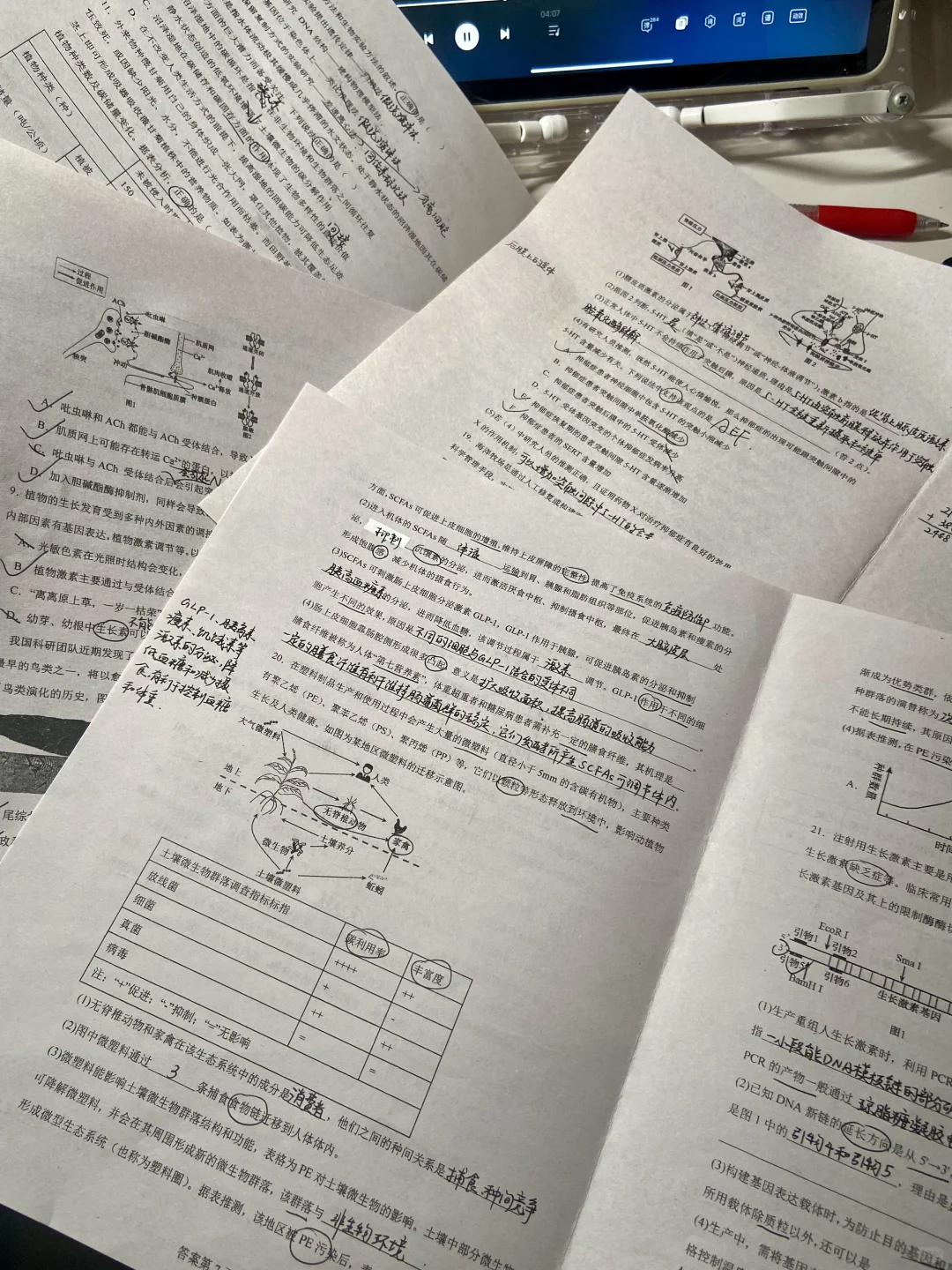 D308｜高三的第一个双休