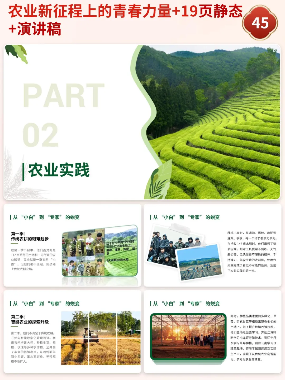 农业新征程上的青春力量
