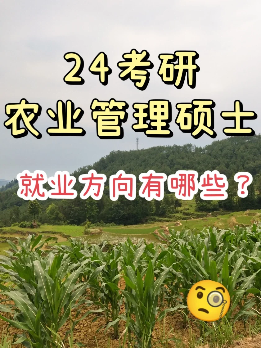 考农硕的宝子们看过来哟