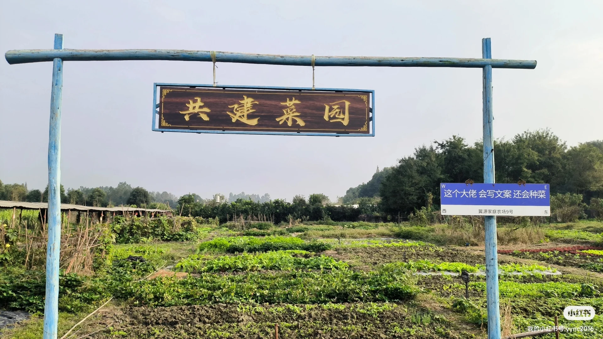 找搭子,农场运营合伙人