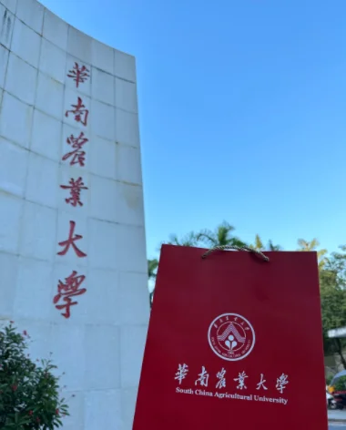 新型赌徒！两周拿下华南农业管理岗野路子！