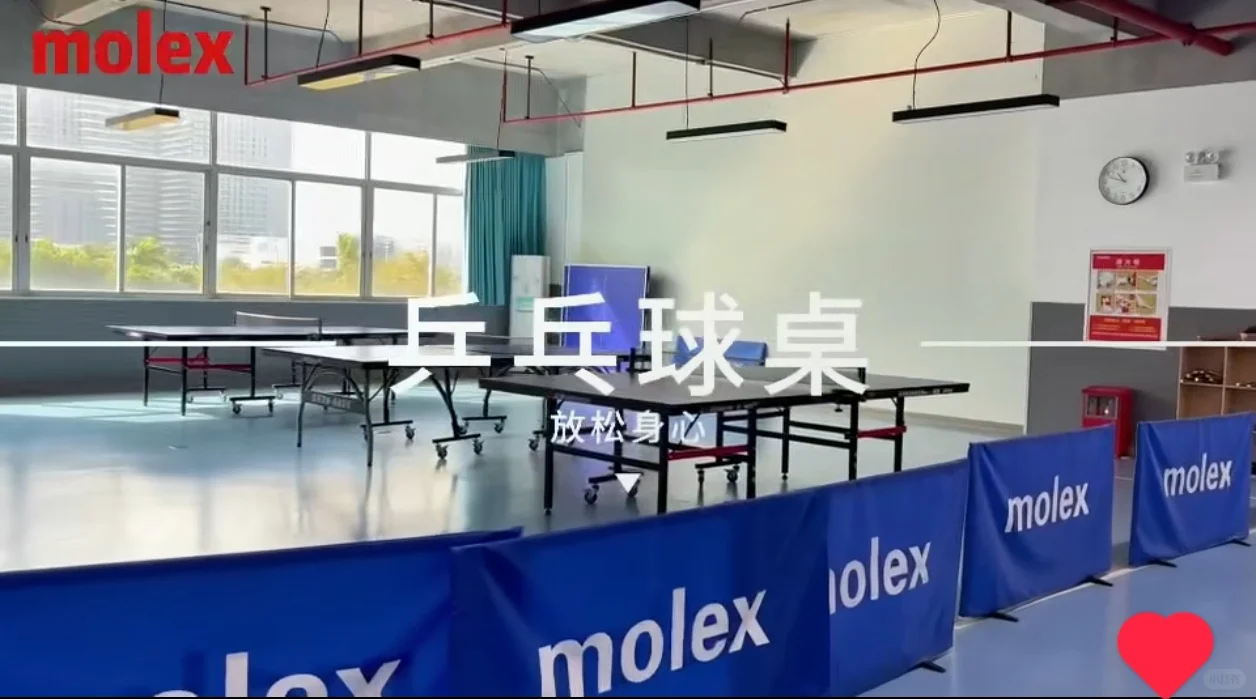 #珠海招聘，公司直招，非中介