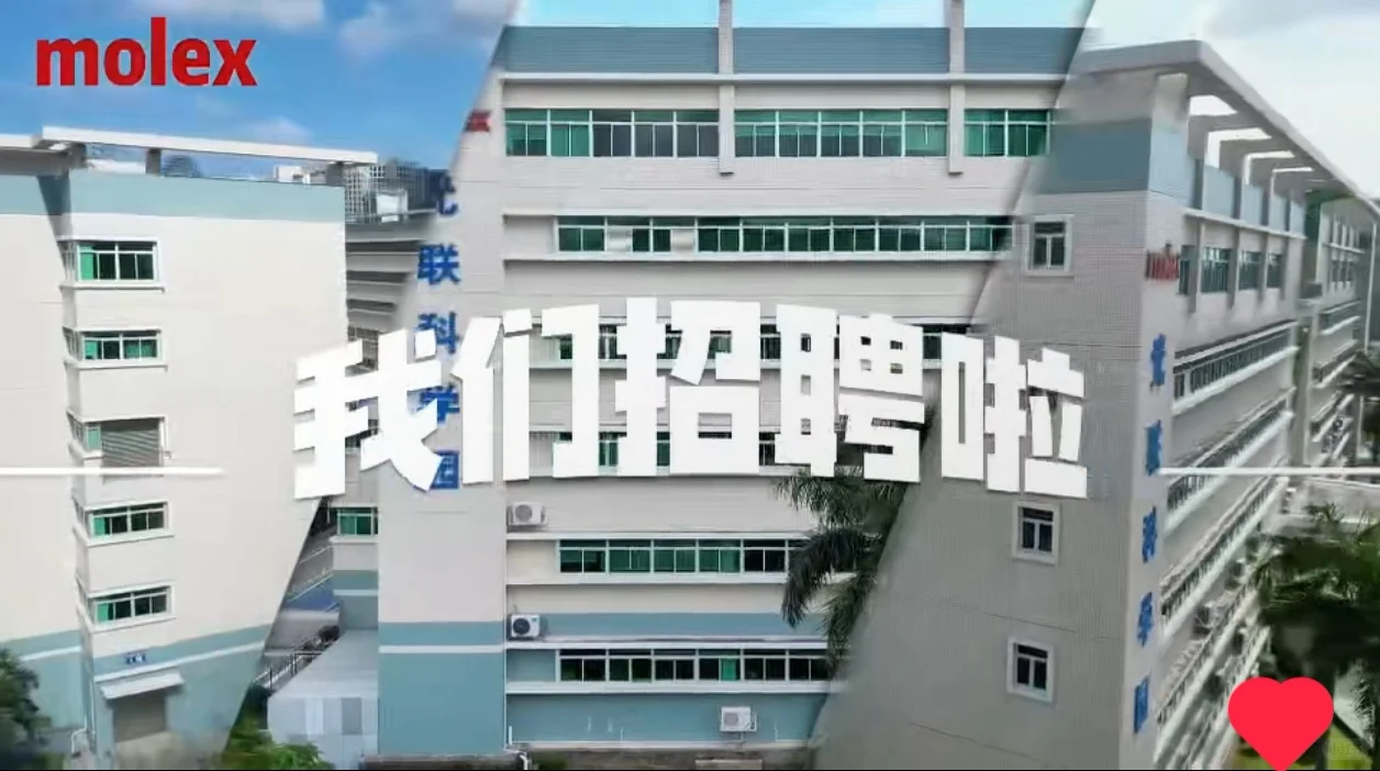 #珠海招聘，公司直招，非中介