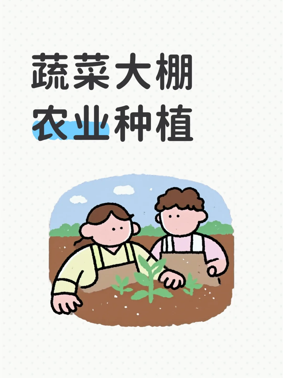 蔬菜大棚农业种植