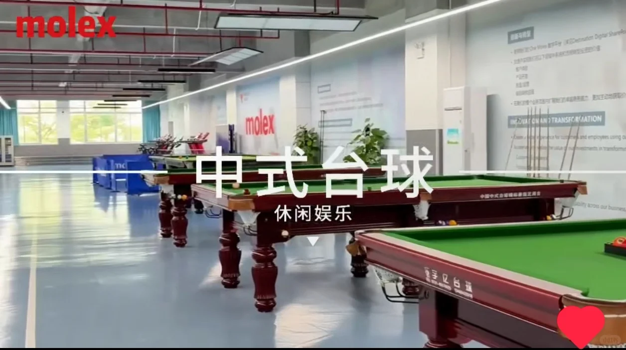 #珠海招聘，公司直招，非中介