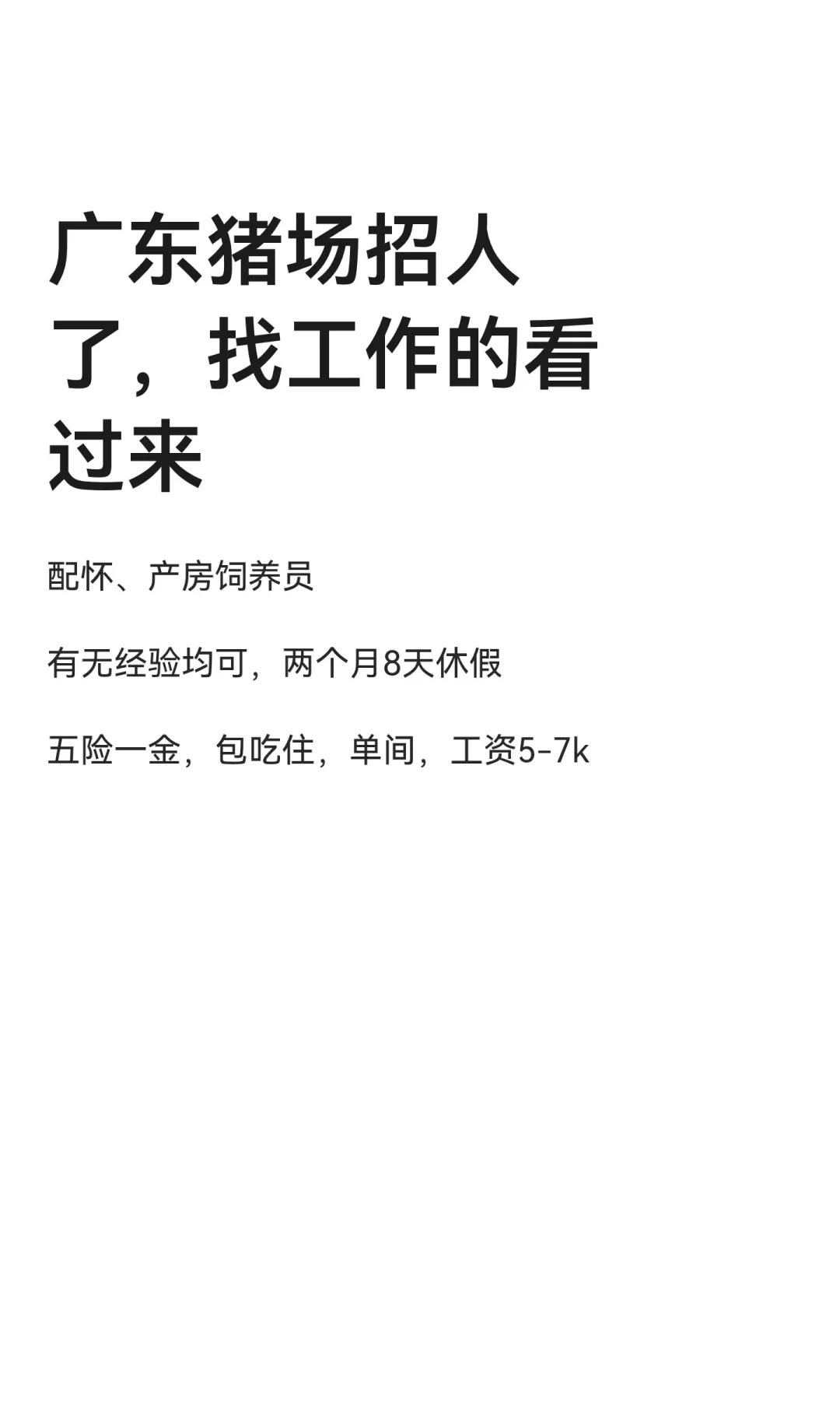 广东猪场招人了，找工作的看过来