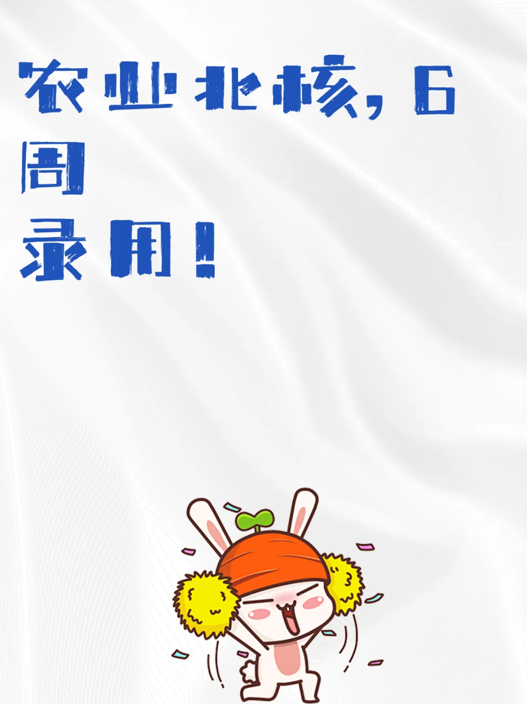 农业北核，6周录用！