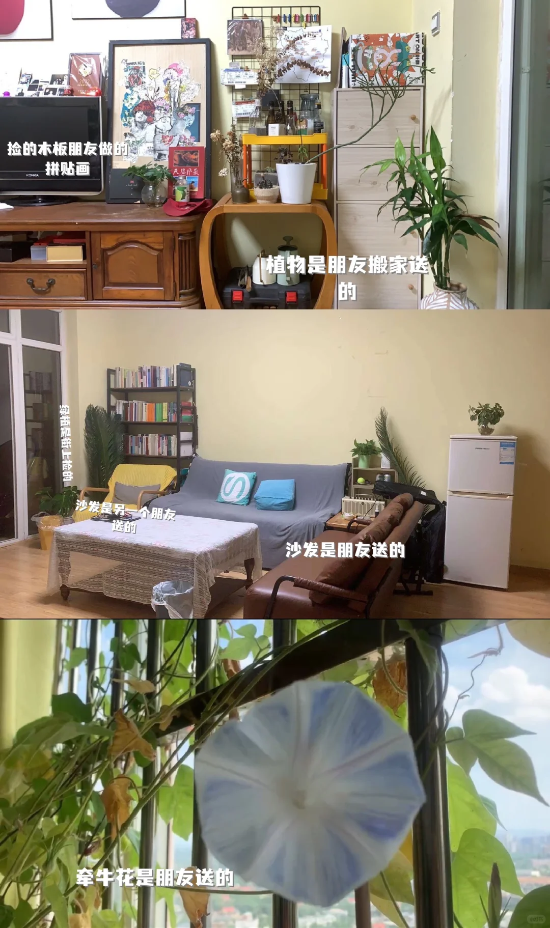 不上班4年,负债5w,为什么我不焦虑