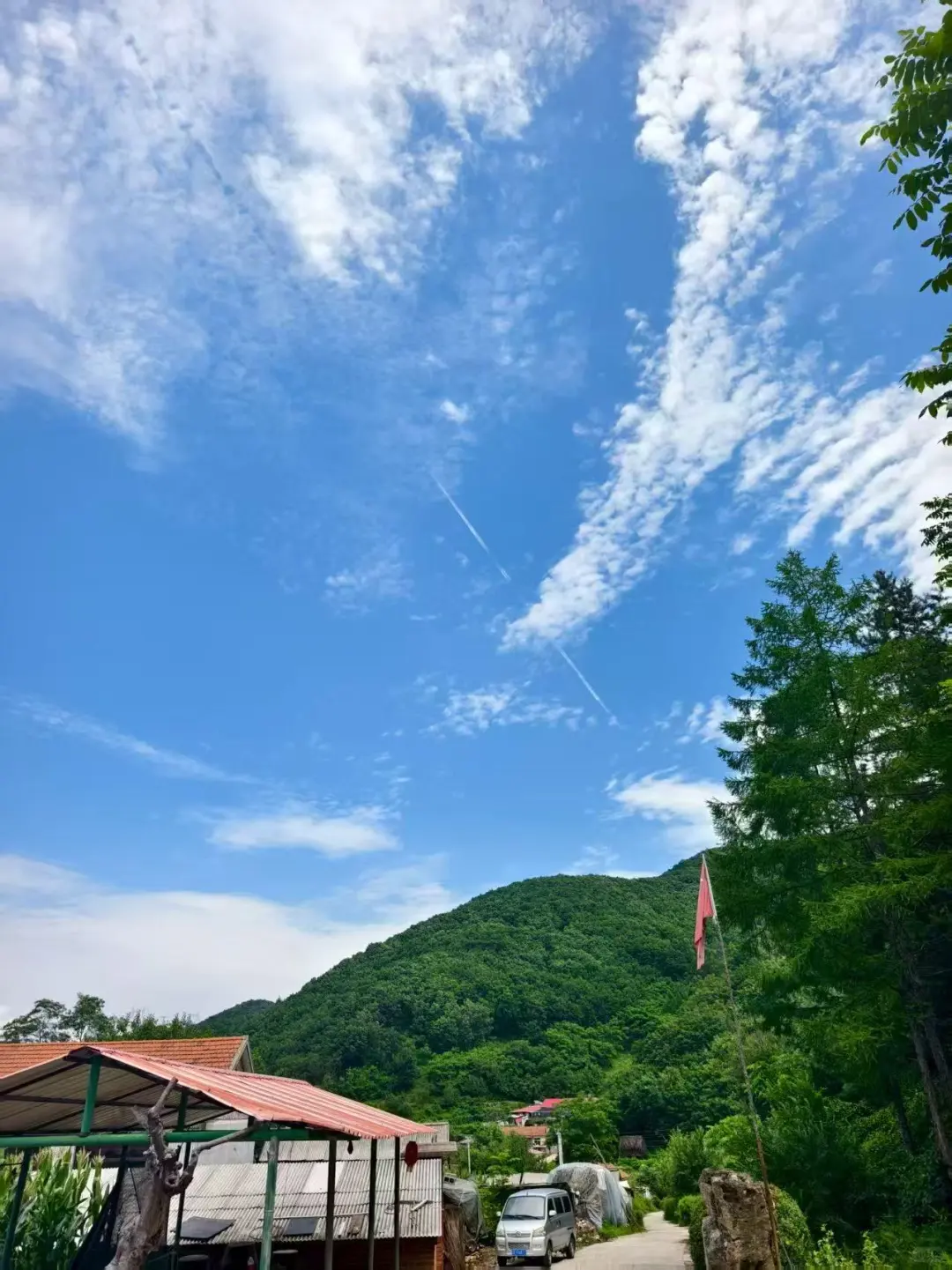 本是农心游溪记