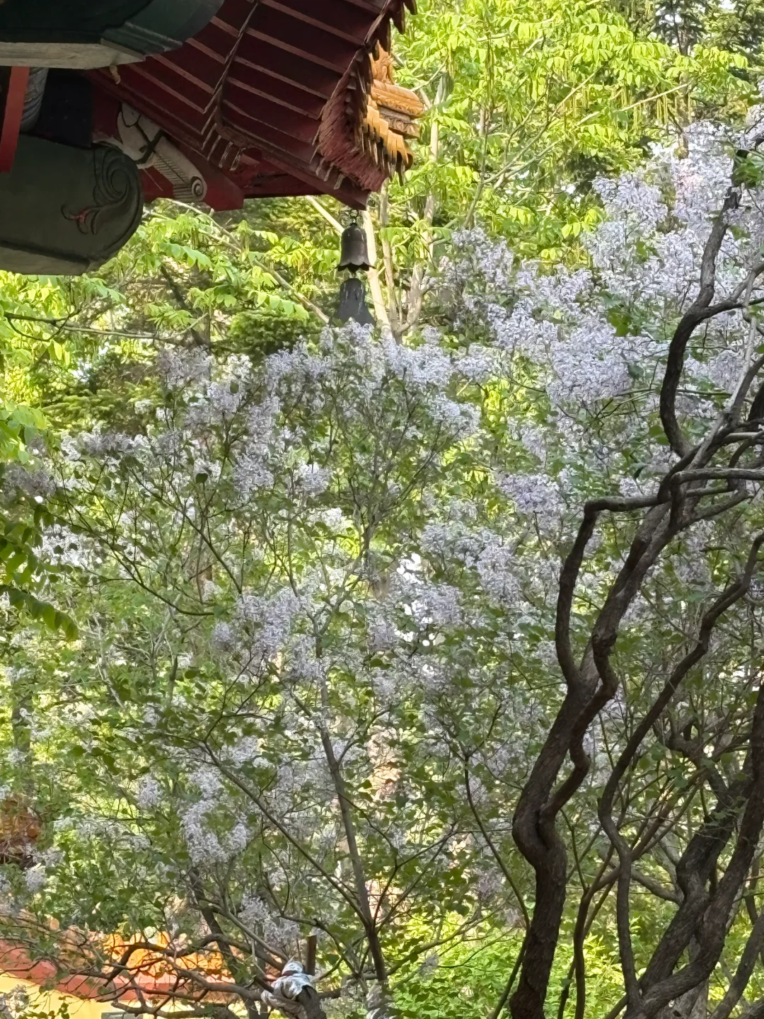 25邯郸博硕人才引进体检