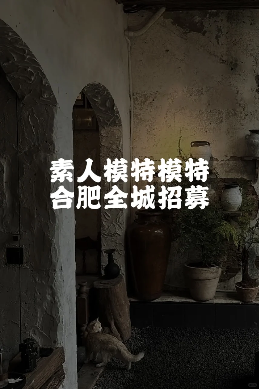 合肥寻中式素人模特