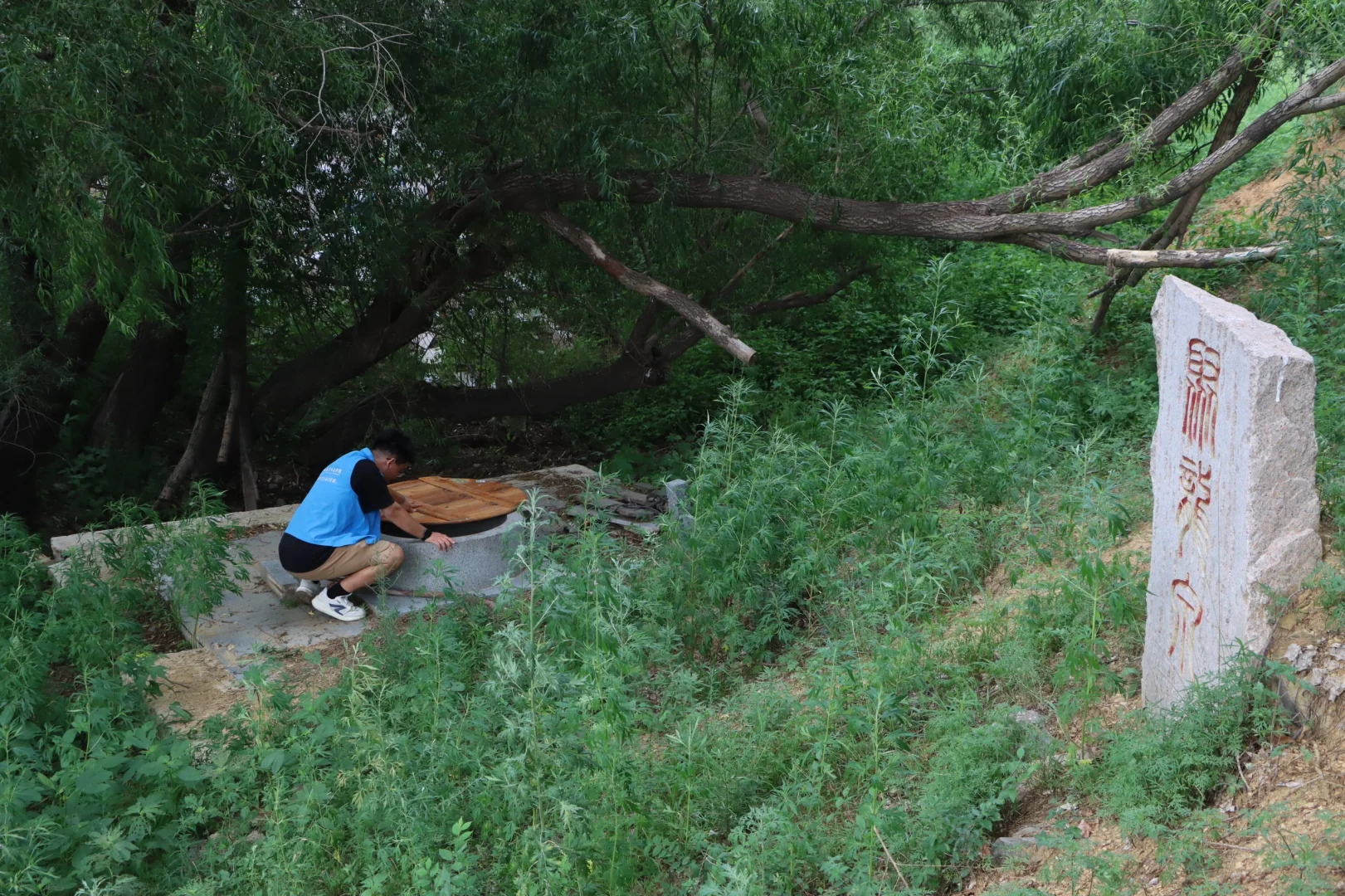 深挖遗产富矿，辽传力量守护乡土根脉