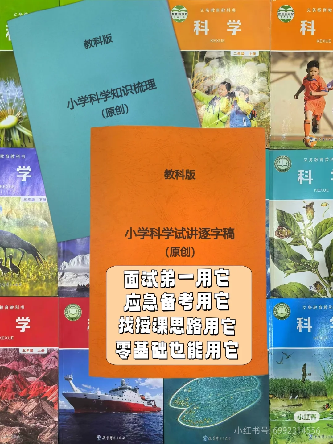 小学科学教招、特岗面试-面试点评备受好评