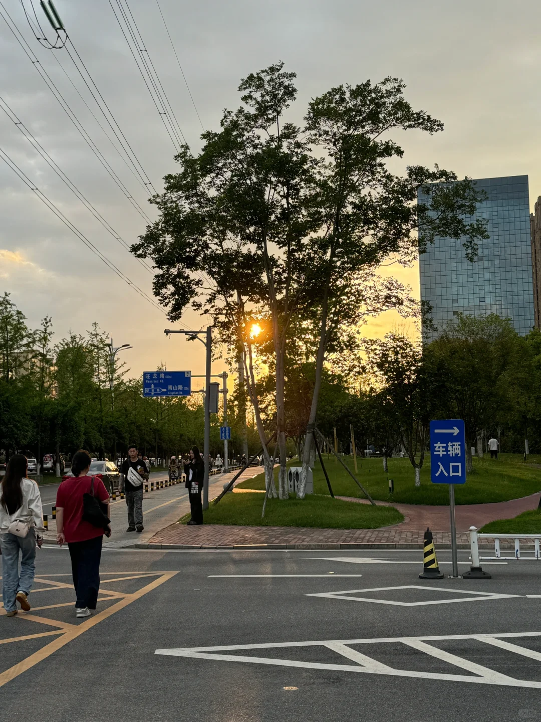 实习月记